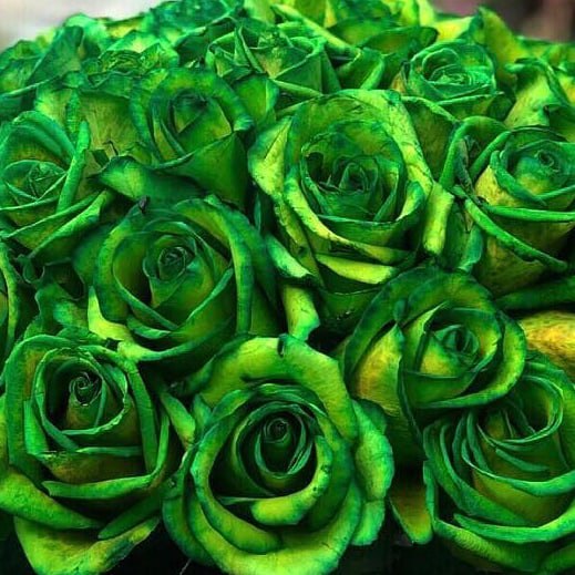 دانلود آهنگ تنگ میشه دلت بعضی وقتا مثل منی تو , مثل منی تو فروردین